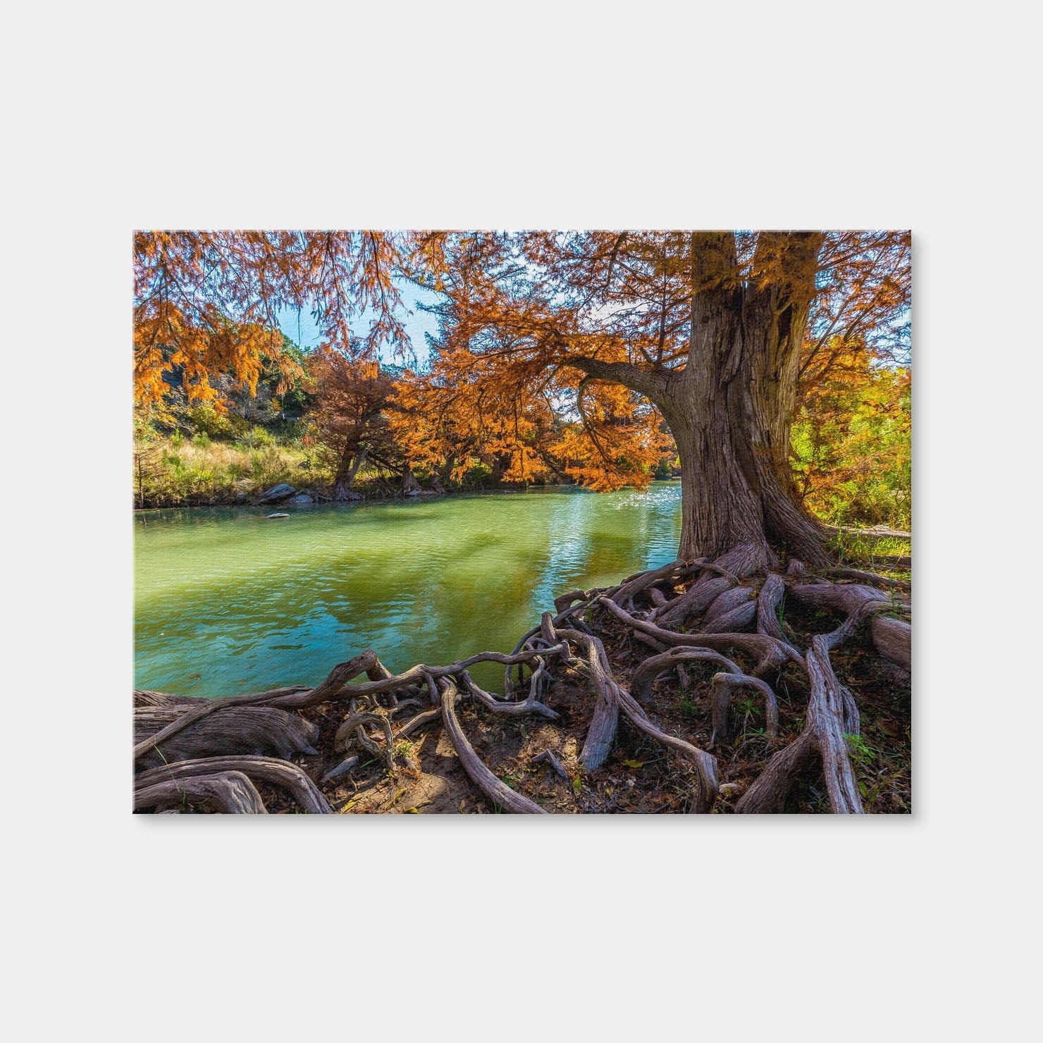AUTO-MOCKUP WHITE | Guadalupe State Park | 1 Piece | Gallery Wrap Canvas | group=4x3