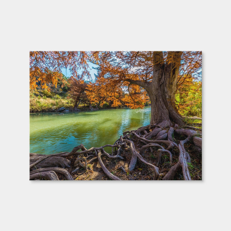 AUTO-MOCKUP WHITE | Guadalupe State Park | 1 Piece | Gallery Wrap Canvas | group=4x3