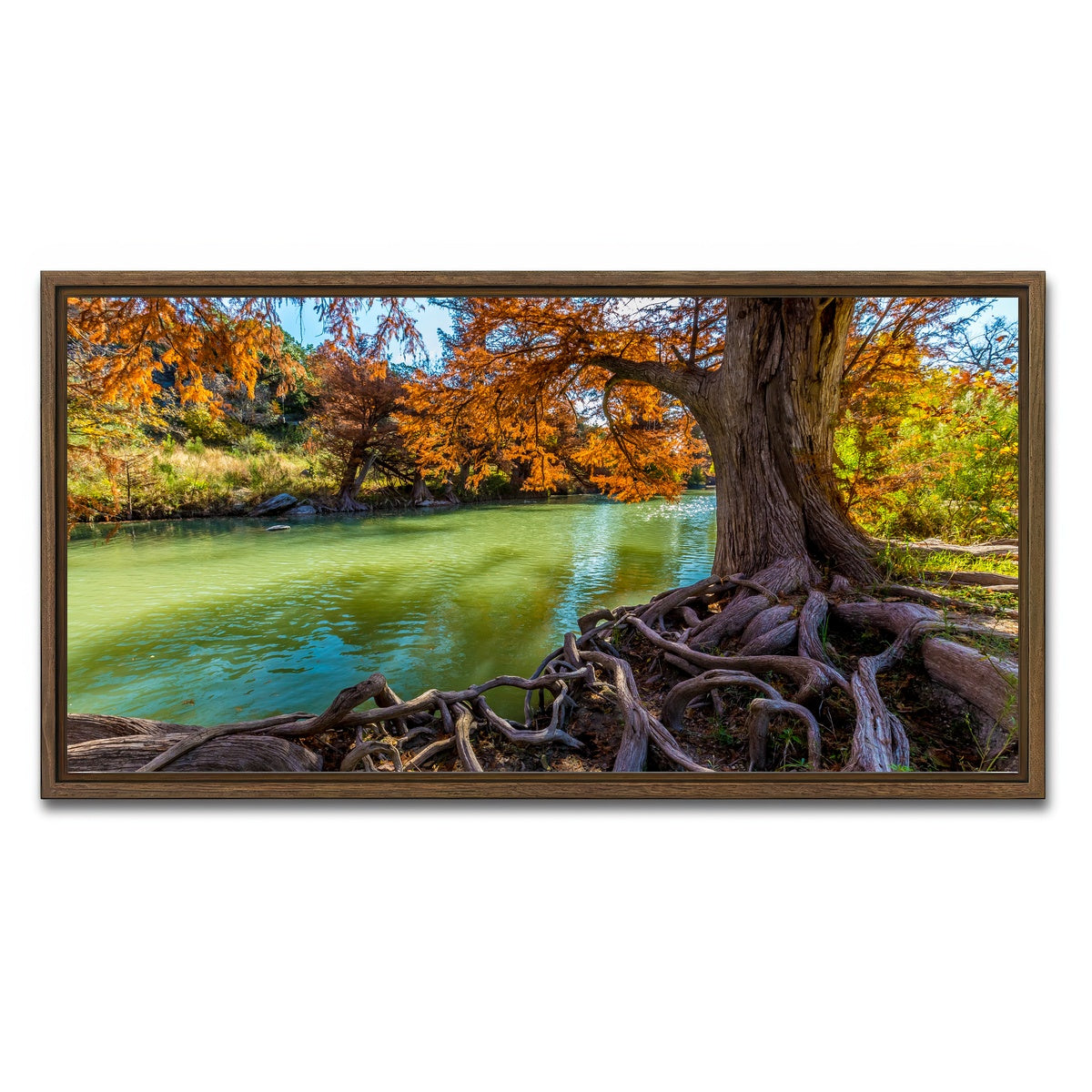 AUTO-MOCKUP WHITE | Guadalupe State Park | 1 Piece | Walnut Framed Canvas | group=2x1