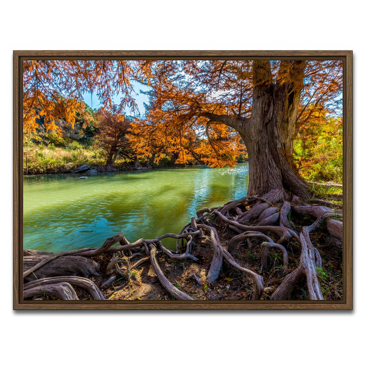 AUTO-MOCKUP WHITE | Guadalupe State Park | 1 Piece | Walnut Framed Canvas | group=4x3