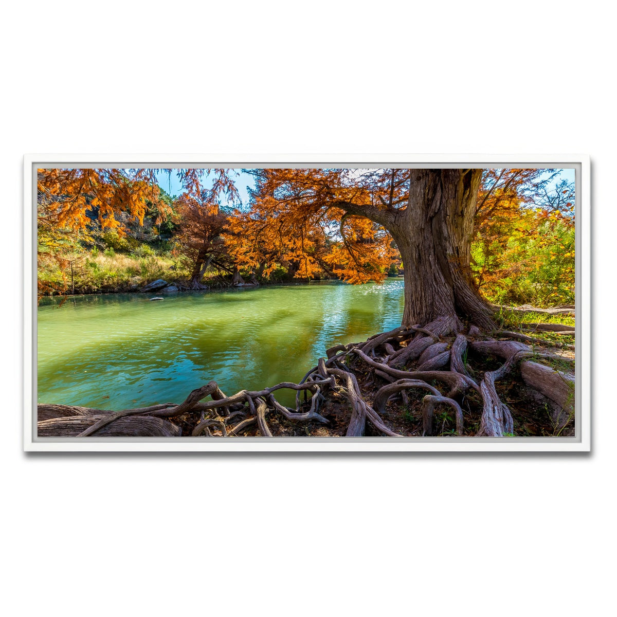 AUTO-MOCKUP WHITE | Guadalupe State Park | 1 Piece | White Framed Canvas | group=2x1