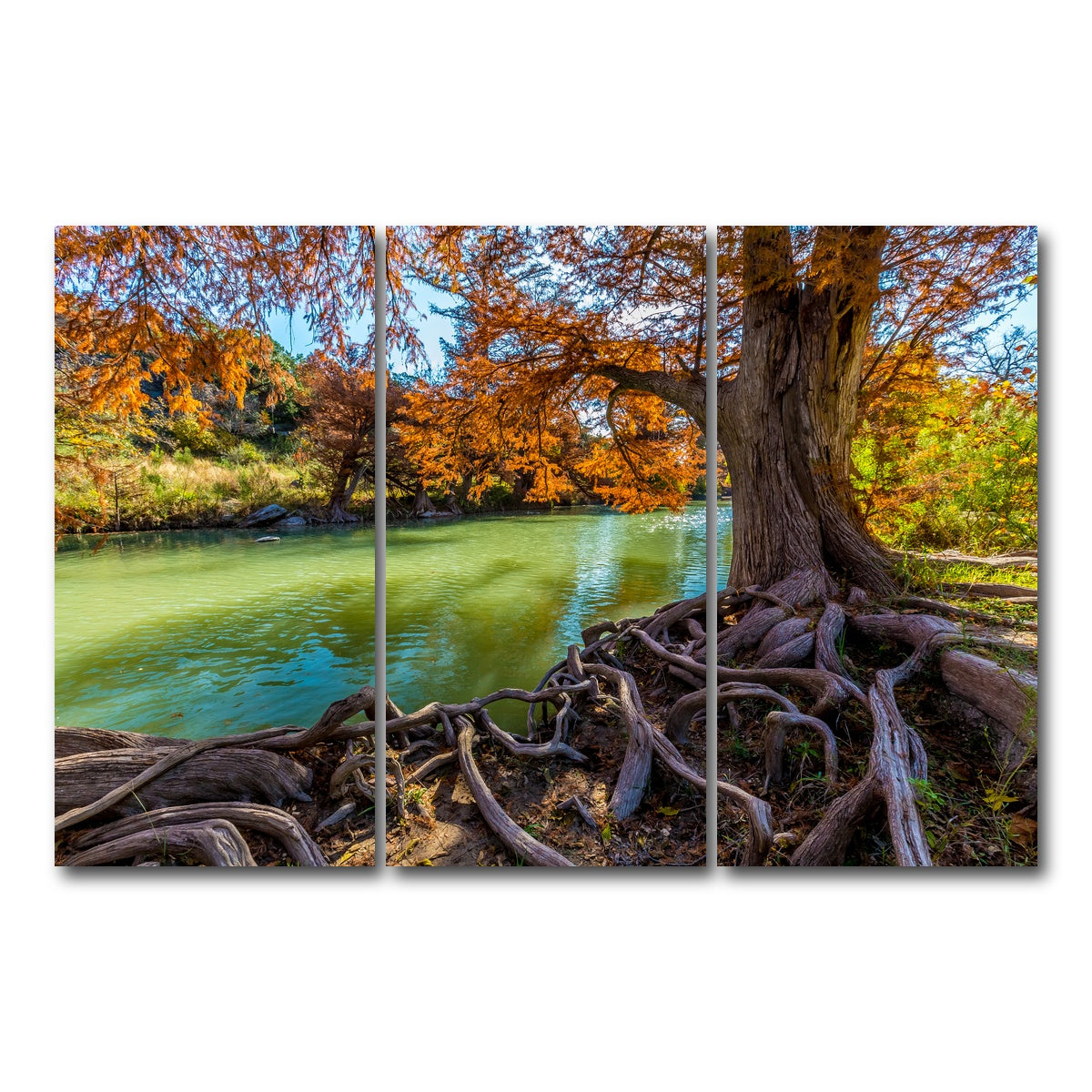 AUTO-MOCKUP WHITE | Guadalupe State Park | 3 Piece | Gallery Wrap Canvas | group=12x24