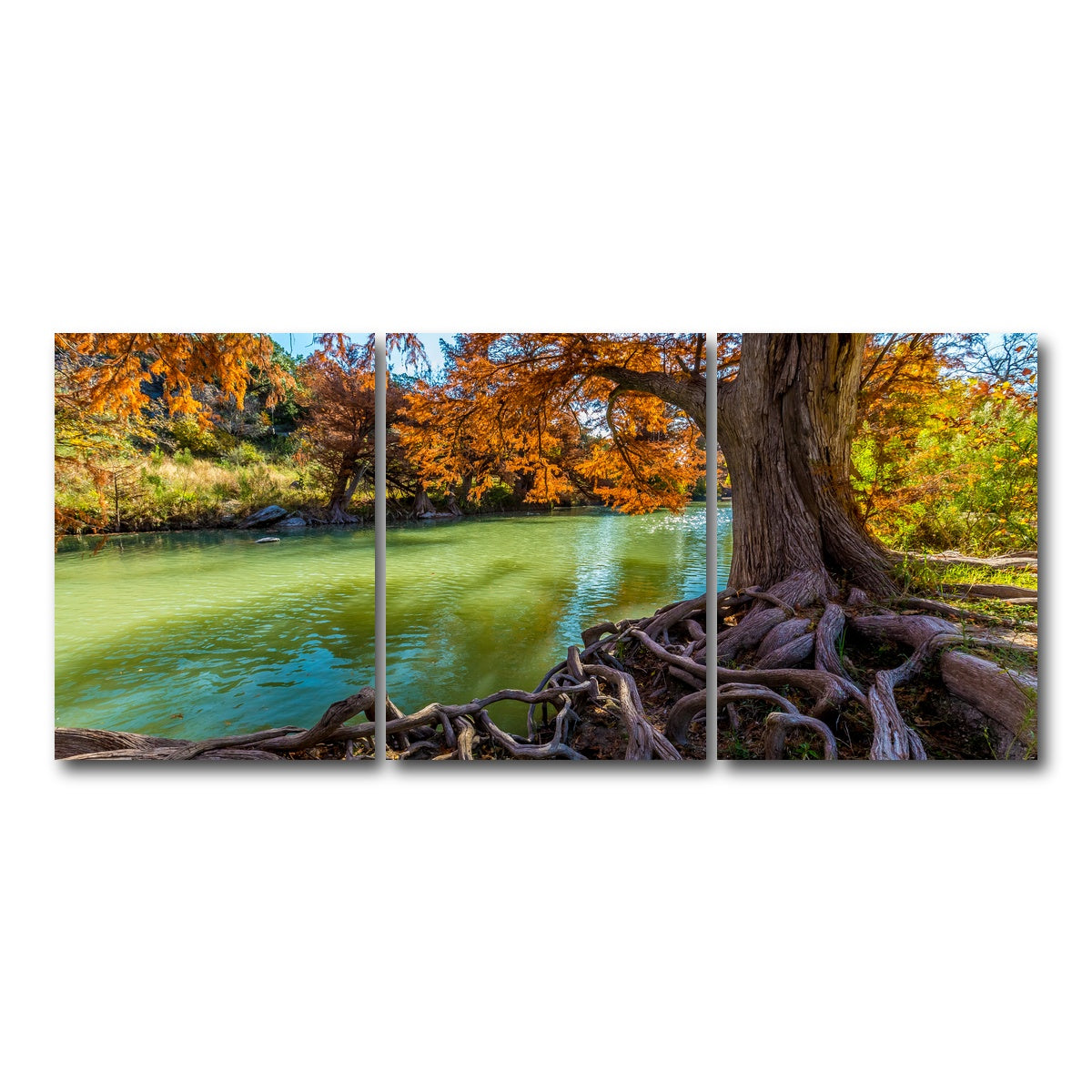 AUTO-MOCKUP WHITE | Guadalupe State Park | 3 Piece | Gallery Wrap Canvas | group=18x24