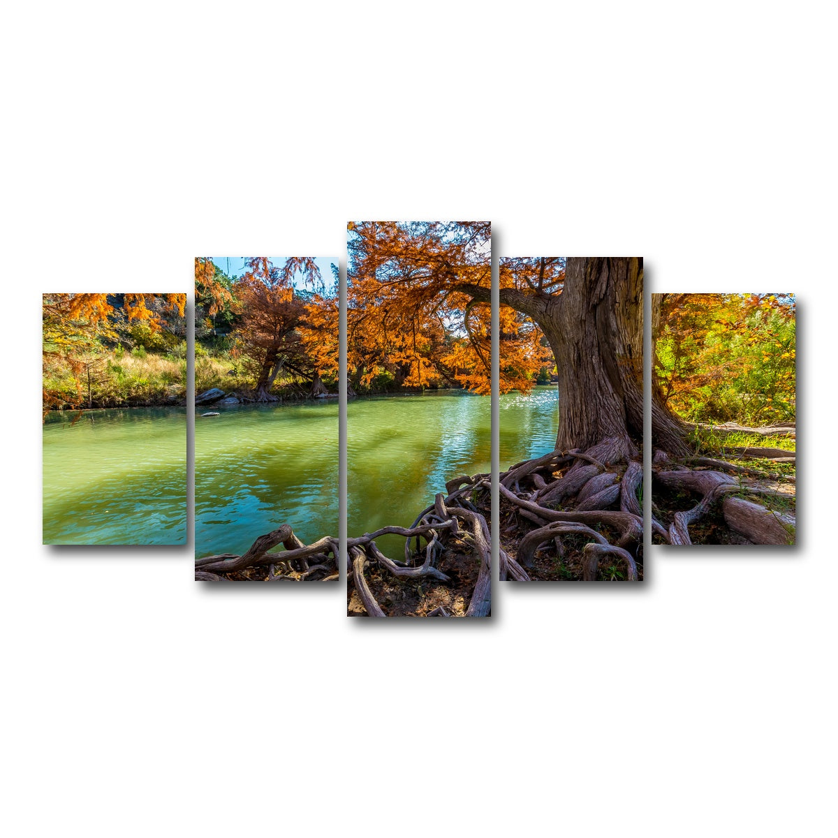 AUTO-MOCKUP WHITE | Guadalupe State Park | 5 Piece | Gallery Wrap Canvas | group=5_normal