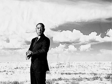 Gus Fring Grayscale Wall Art