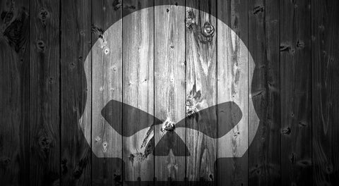 Harley Skull Wall Art