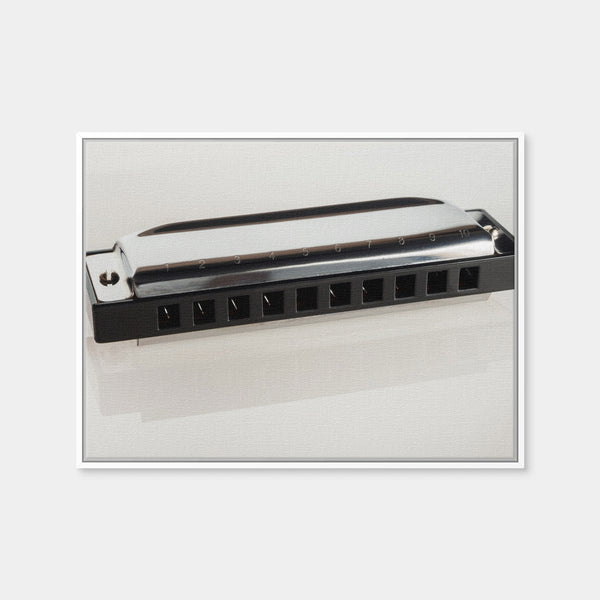 Harmonica Wall Art — Framed Canvas Format preview