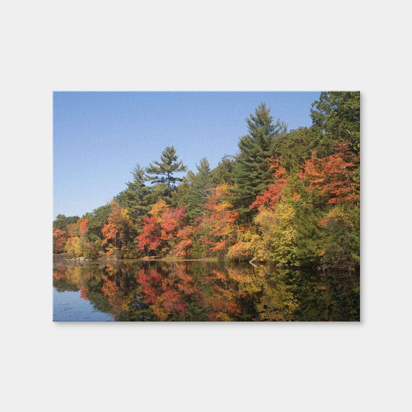 AUTO-MOCKUP WHITE | Harold Parker State Park | 1 Piece | Gallery Wrap Canvas | group=4x3