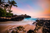 Hawaiian Paradise Wall Art