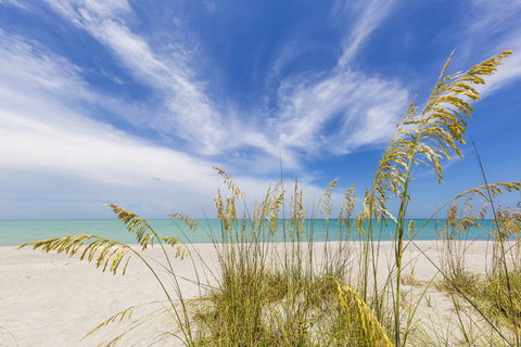 Heavenly calmness on the beach Wall Art