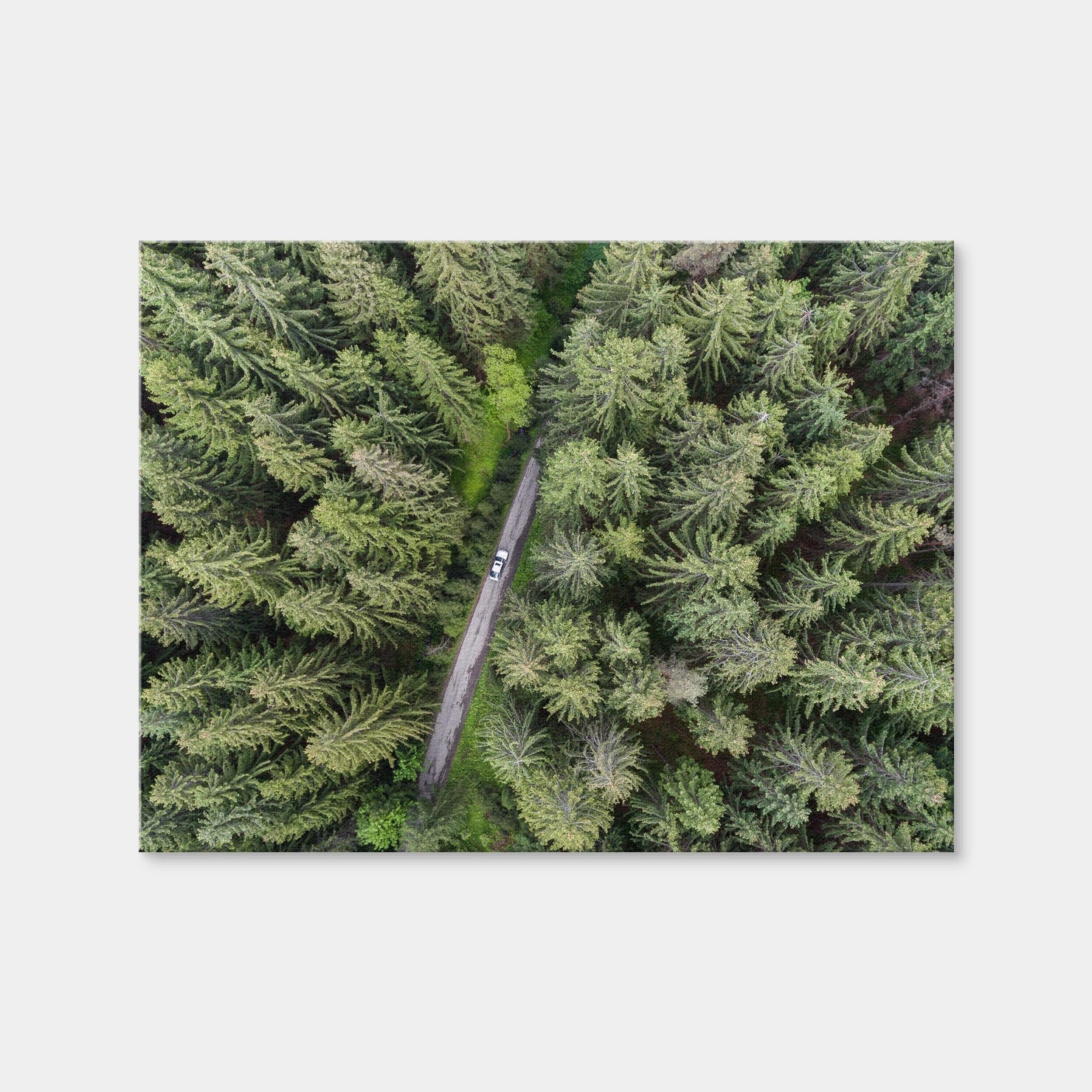 AUTO-MOCKUP WHITE | Hidden Road | 1 Piece | Gallery Wrap Canvas | group=4x3