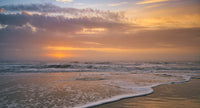 Hilton Head SC Wall Art