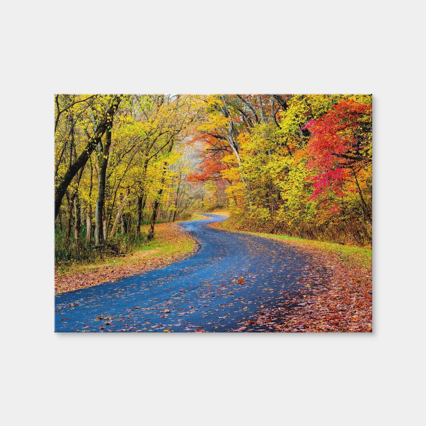 AUTO-MOCKUP WHITE | Hocking Hills fall foliage | 1 Piece | Gallery Wrap Canvas | group=4x3