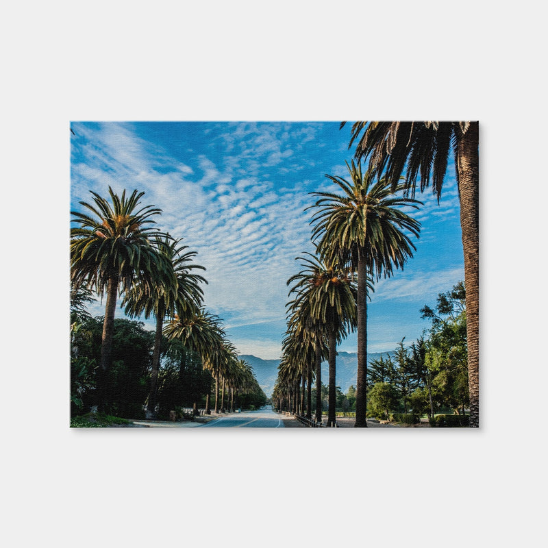 AUTO-MOCKUP WHITE | Hope Ranch Palm Drive | 1 Piece | Gallery Wrap Canvas | group=4x3
