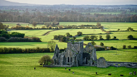 Hore Abbey, Ireland Wall Art