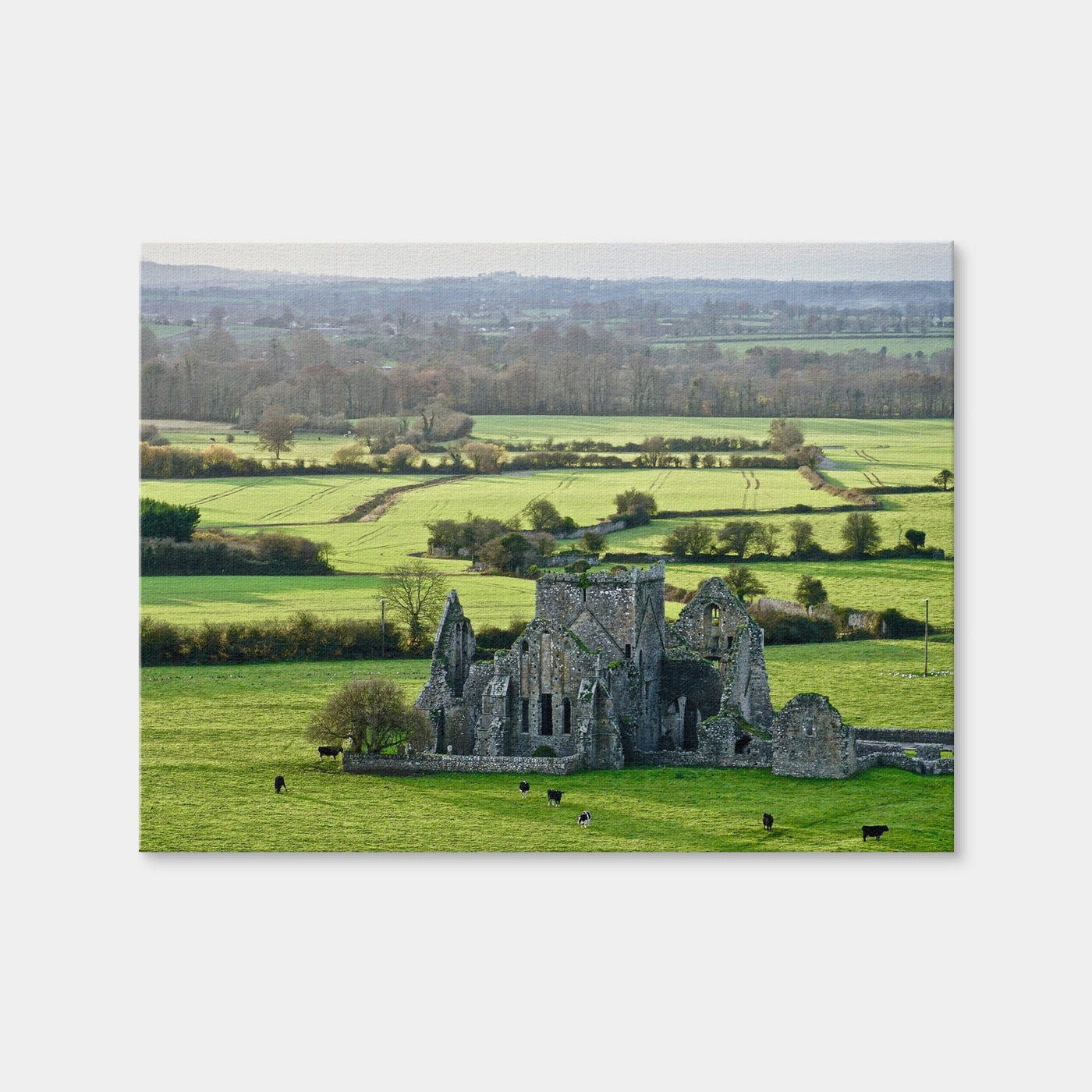 AUTO-MOCKUP WHITE | Hore Abbey, Ireland | 1 Piece | Gallery Wrap Canvas | group=4x3