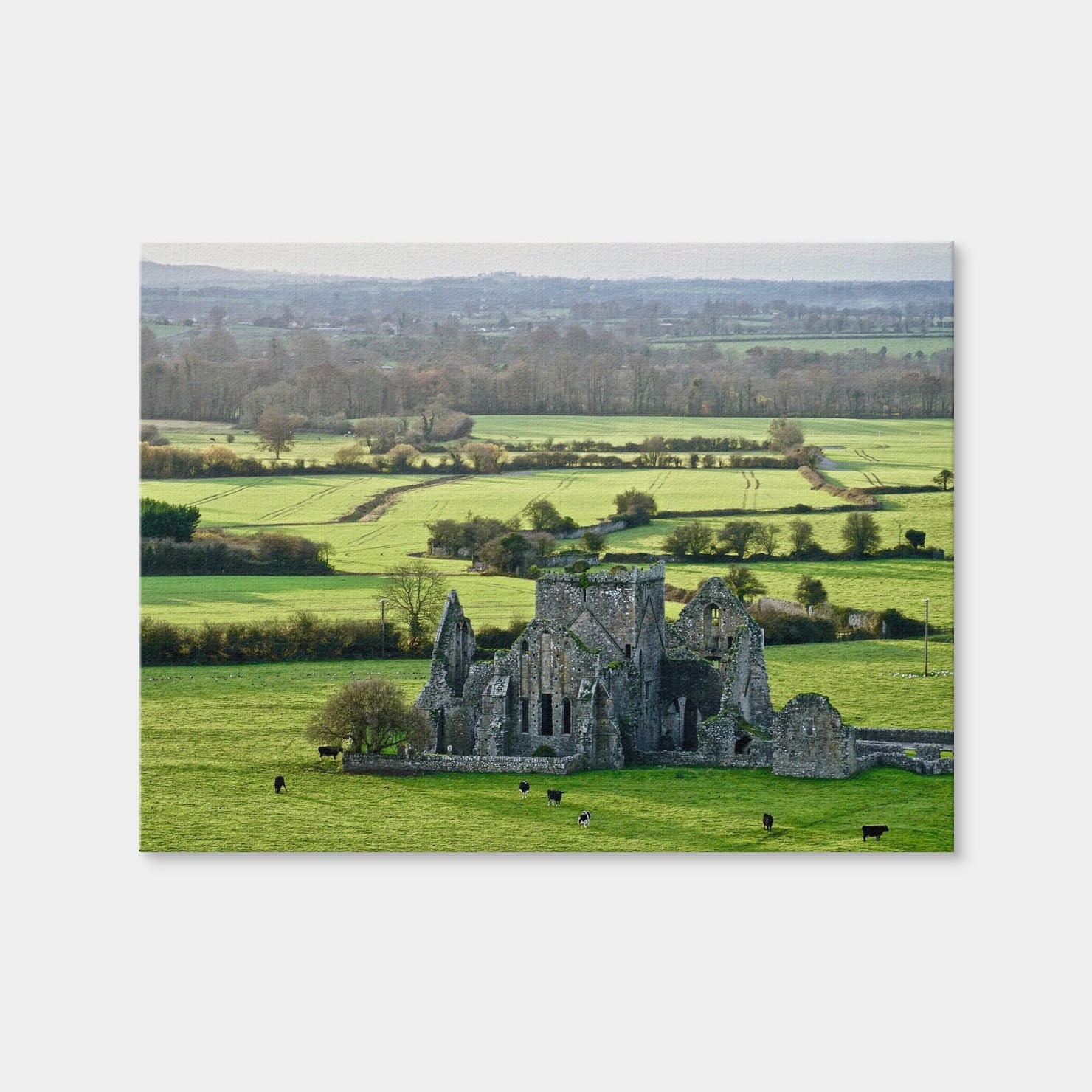 AUTO-MOCKUP WHITE | Hore Abbey, Ireland | 1 Piece | Gallery Wrap Canvas | group=4x3
