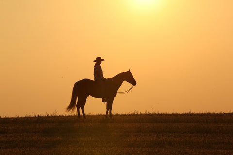 Horse & Cowboy at Sunset Wall Art