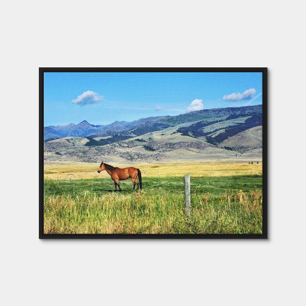 Horse Grazes in Paradise Valley Wall Art — Framed Canvas Format preview