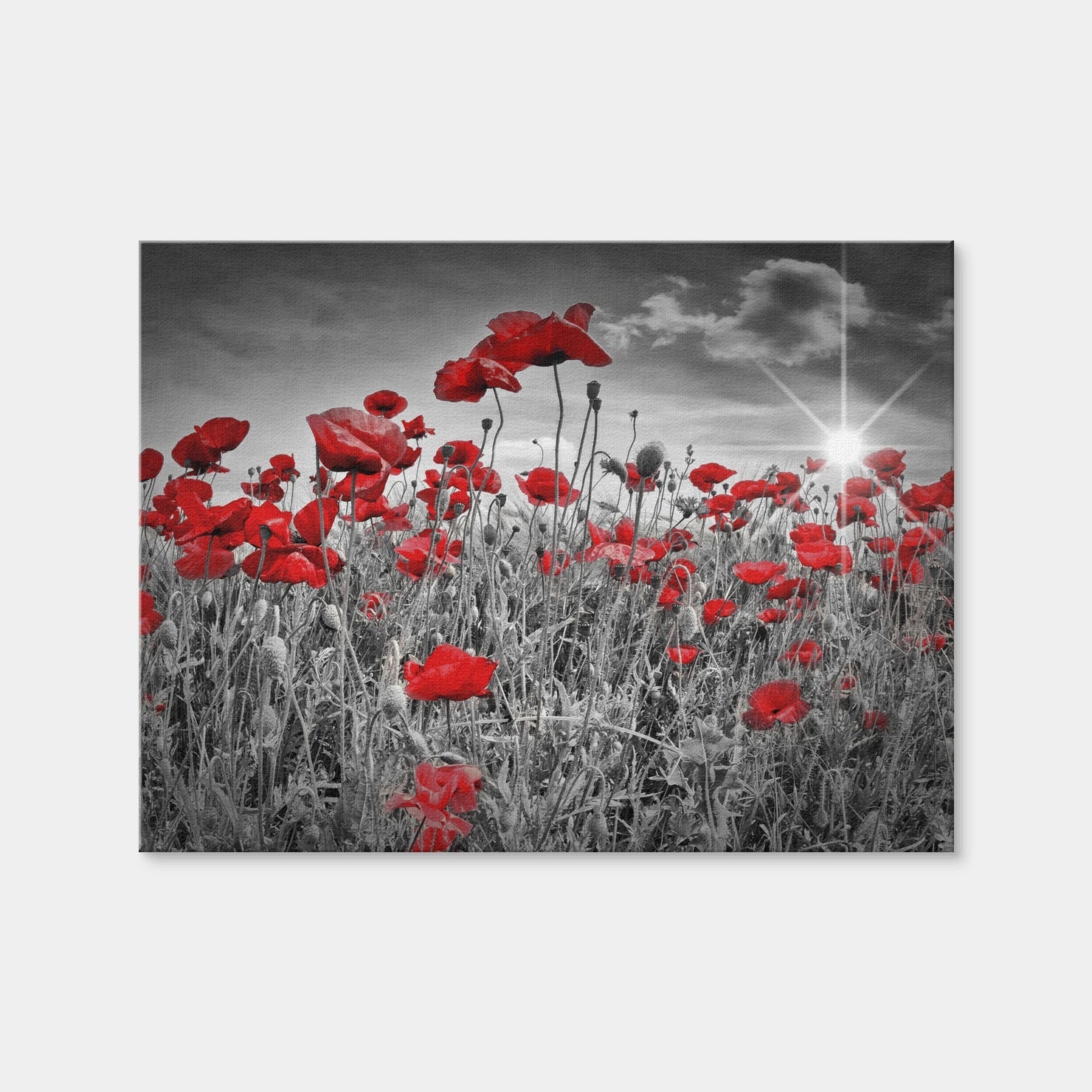 AUTO-MOCKUP WHITE | Idyllic Field of Poppies with Sun | 1 Piece | Gallery Wrap Canvas | group=4x3