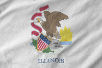 Illinois State Flag Wall Art