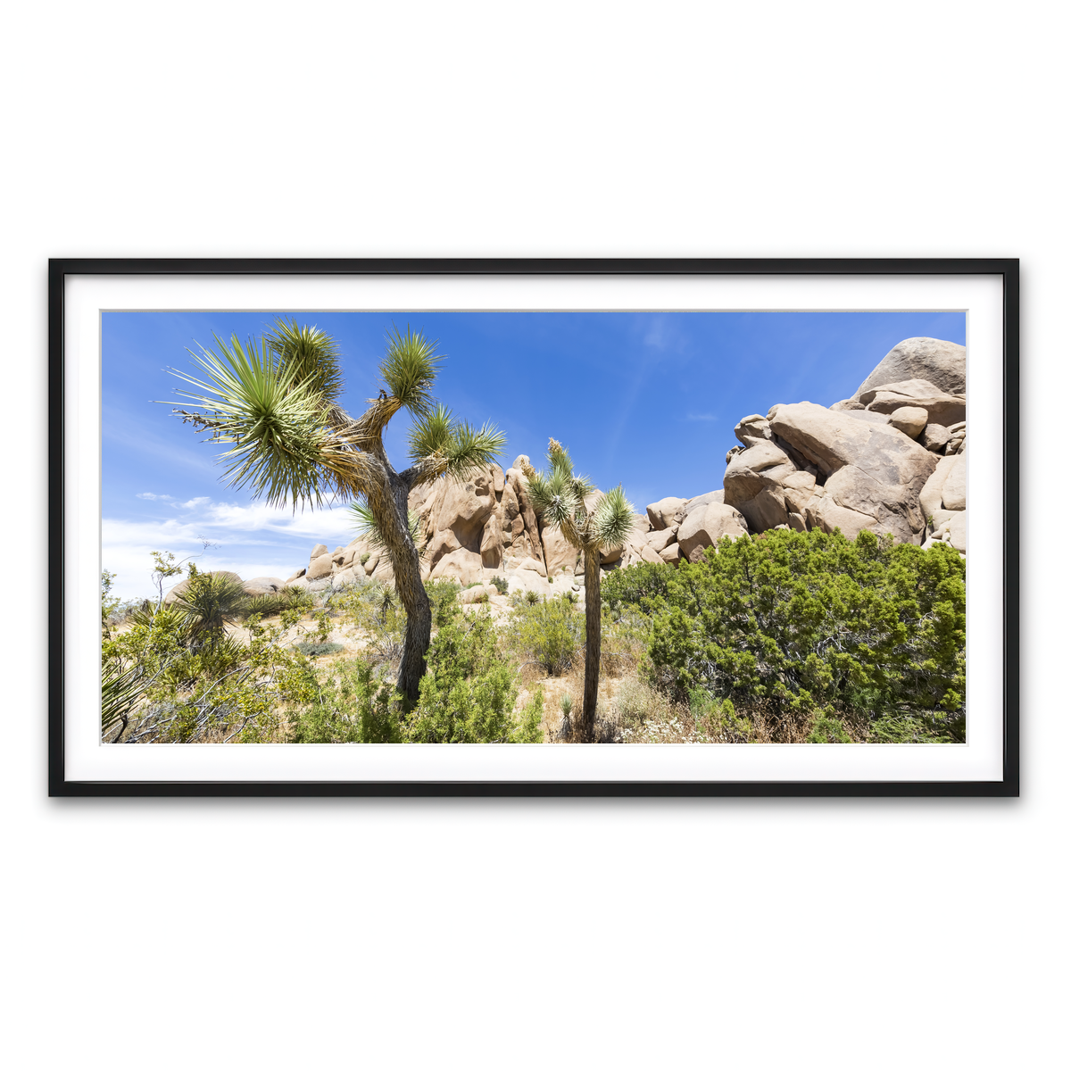 Impression from Joshua Tree National Park Wall Art