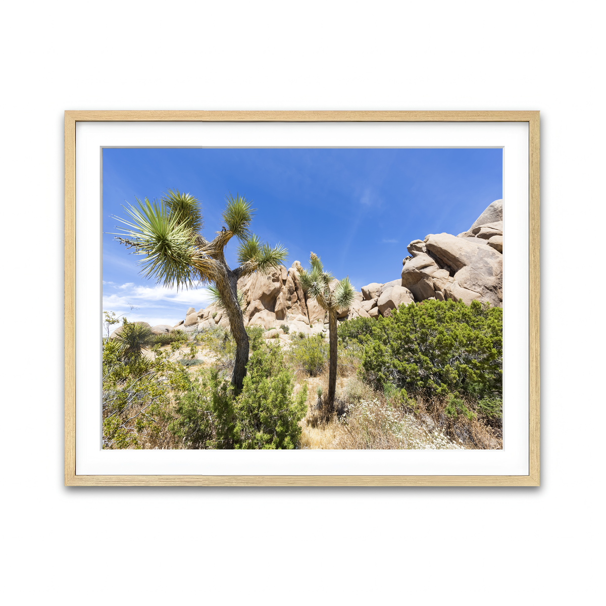 Impression from Joshua Tree National Park Wall Art