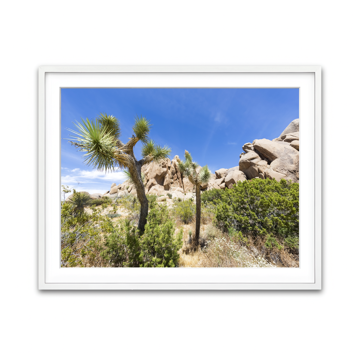 Impression from Joshua Tree National Park Wall Art