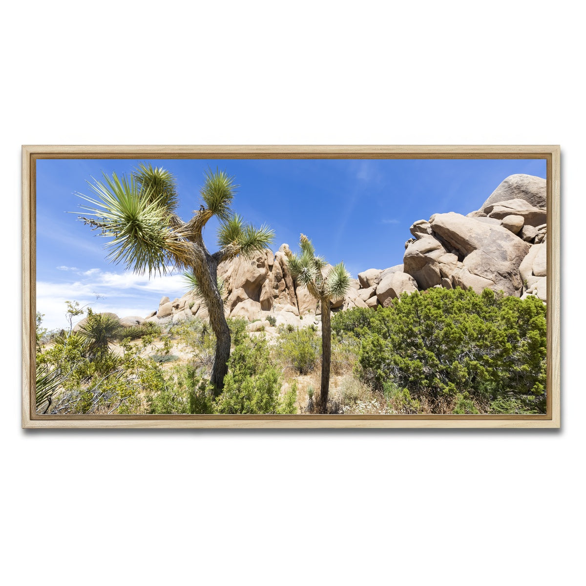 Impression from Joshua Tree National Park Wall Art