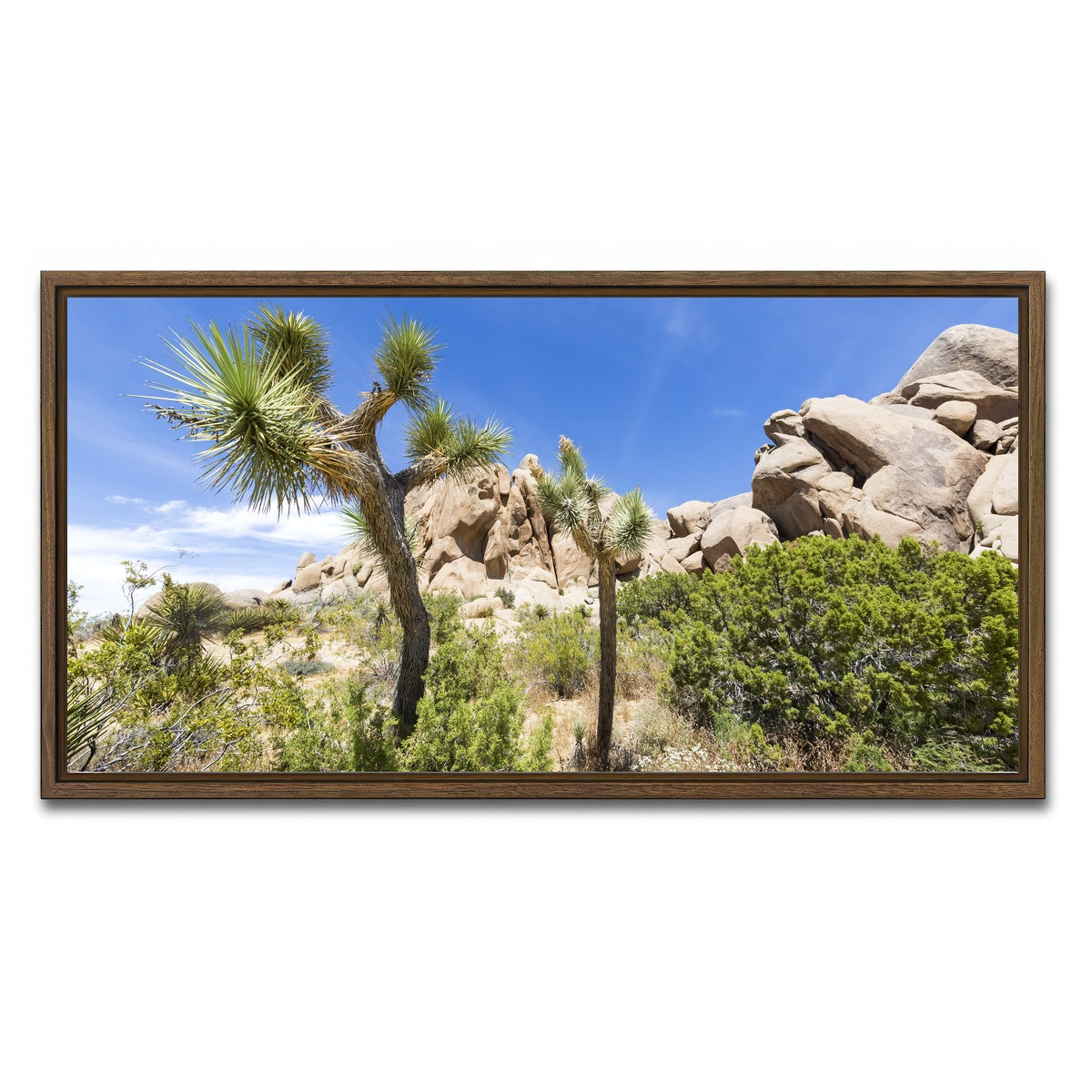 Impression from Joshua Tree National Park Wall Art