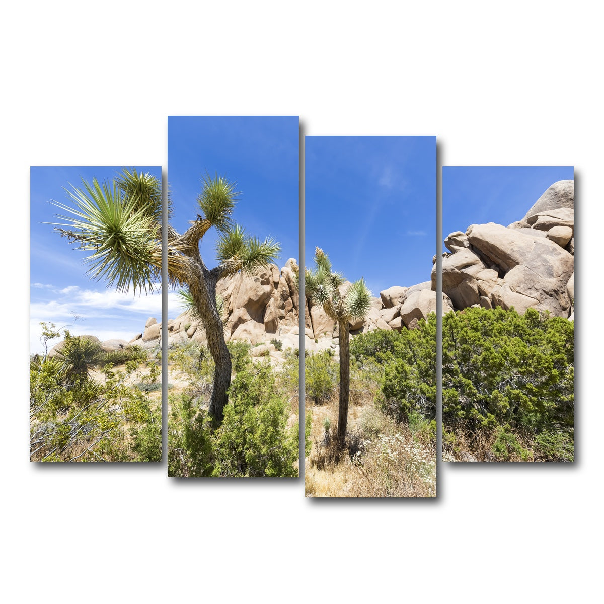 Impression from Joshua Tree National Park Wall Art
