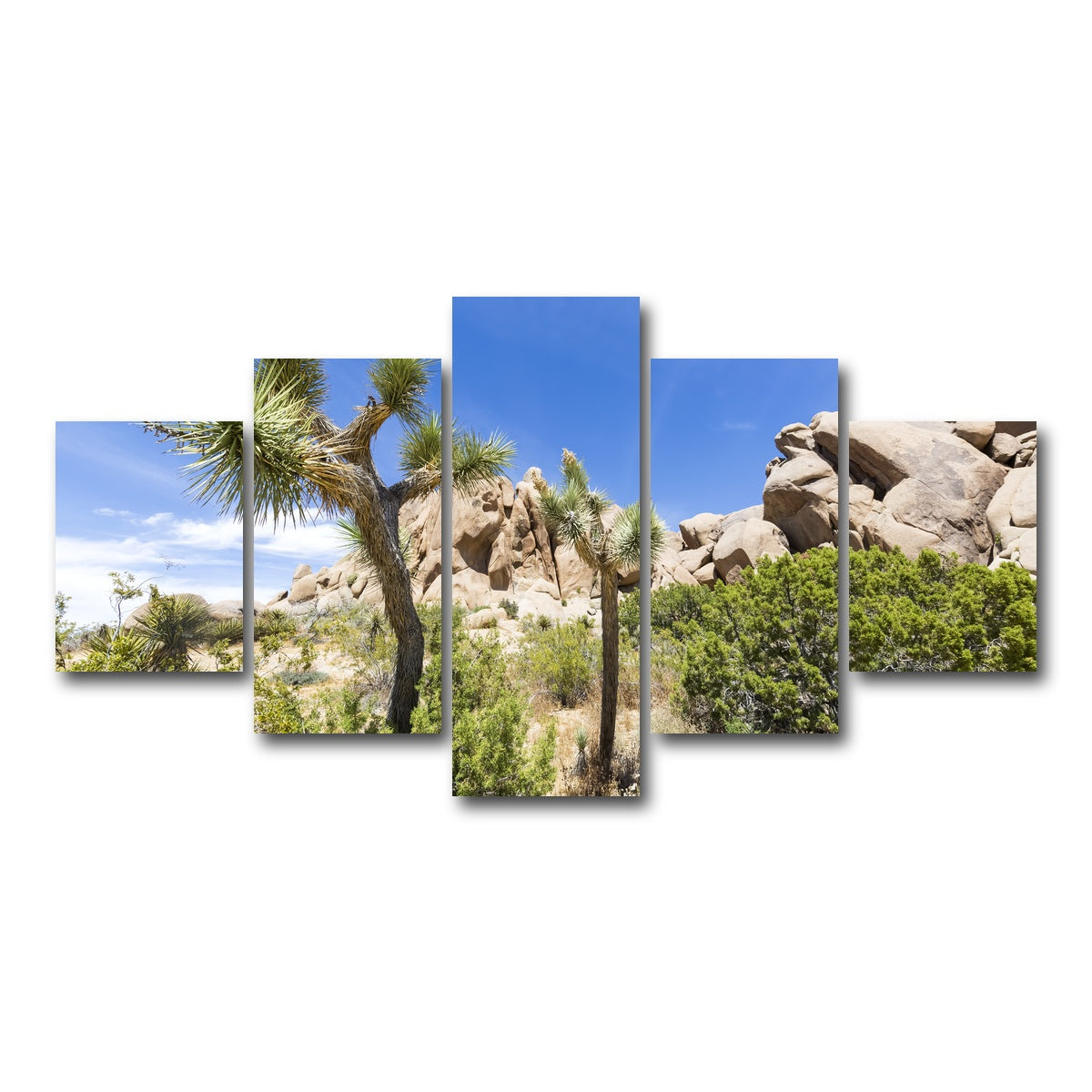 Impression from Joshua Tree National Park Wall Art