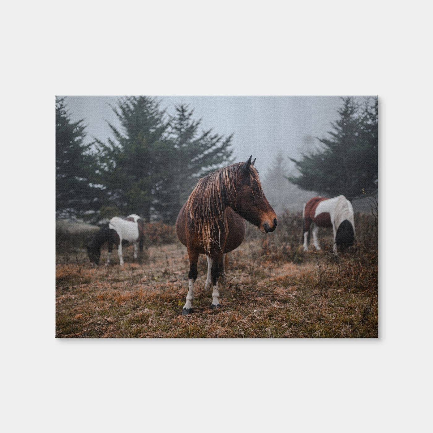 AUTO-MOCKUP WHITE | In The Wild | 1 Piece | Gallery Wrap Canvas | group=4x3