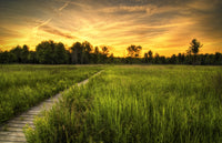 Irwin Prairie in Toledo Wall Art