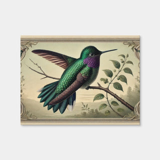 AUTO-MOCKUP WHITE | JJ Audubon's Style Hummingbird Print | 1 Piece | Gallery Wrap Canvas | group=4x3