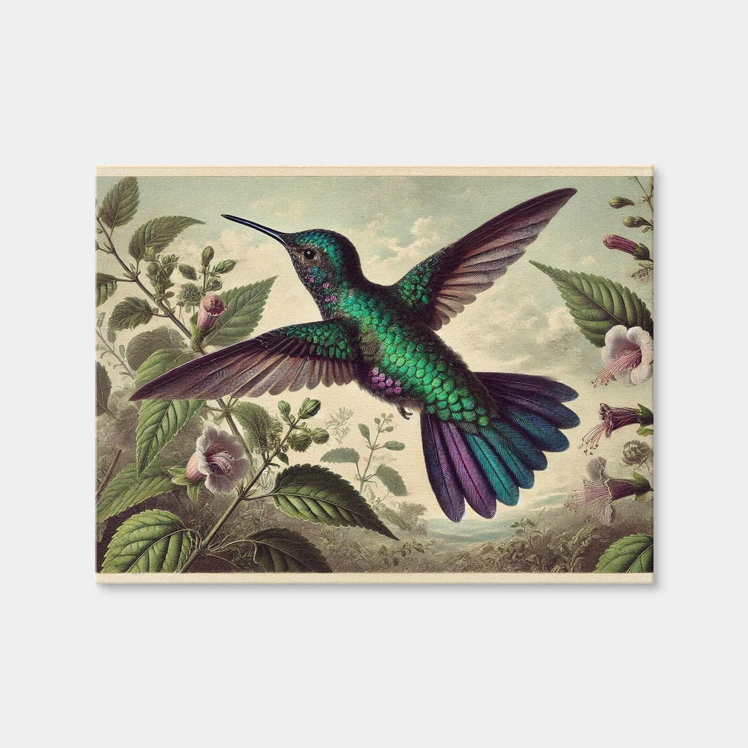 AUTO-MOCKUP WHITE | JJ Audubon's Style Hummingbird | 1 Piece | Gallery Wrap Canvas | group=4x3