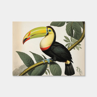 AUTO-MOCKUP WHITE | JJ Audubon's Style Keel-Billed Toucan | 1 Piece | Gallery Wrap Canvas | group=4x3