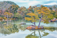 Japanese Garden Wall Art