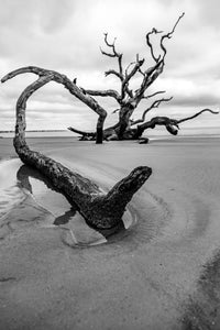 Jekyll Island Wall Art