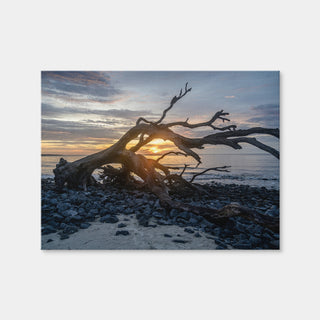 AUTO-MOCKUP WHITE | Jekyll Island Georgia | 1 Piece | Gallery Wrap Canvas | group=4x3