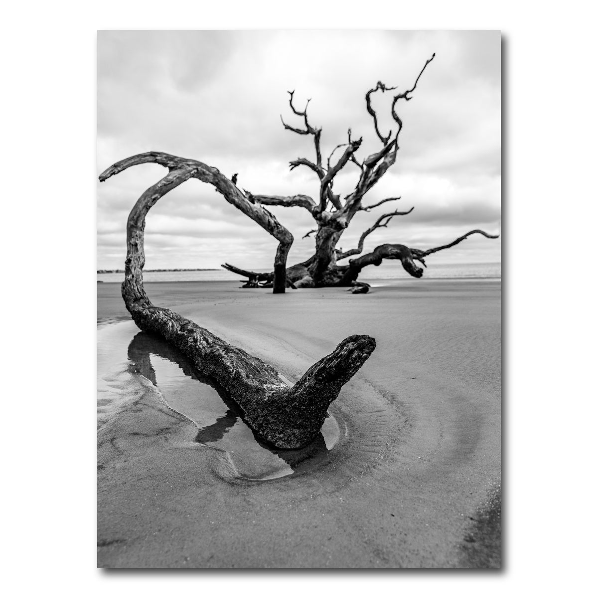 AUTO-MOCKUP WHITE | Jekyll Island | 1 Piece | Gallery Wrap Canvas | group=3x4