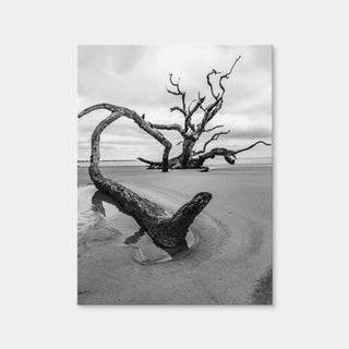 AUTO-MOCKUP WHITE | Jekyll Island | 1 Piece | Gallery Wrap Canvas | group=3x4