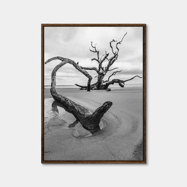 Jekyll Island Wall Art — Framed Canvas Format preview