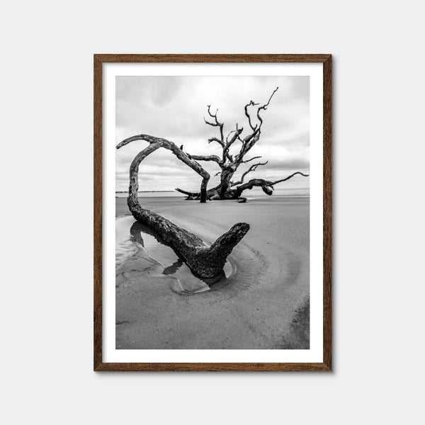Jekyll Island Wall Art — Framed Print Format preview