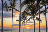 Jomtien Sunset Wall Art