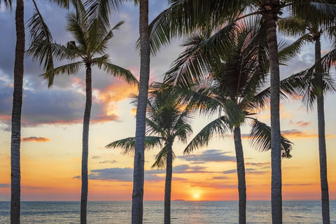 Jomtien Sunset Wall Art