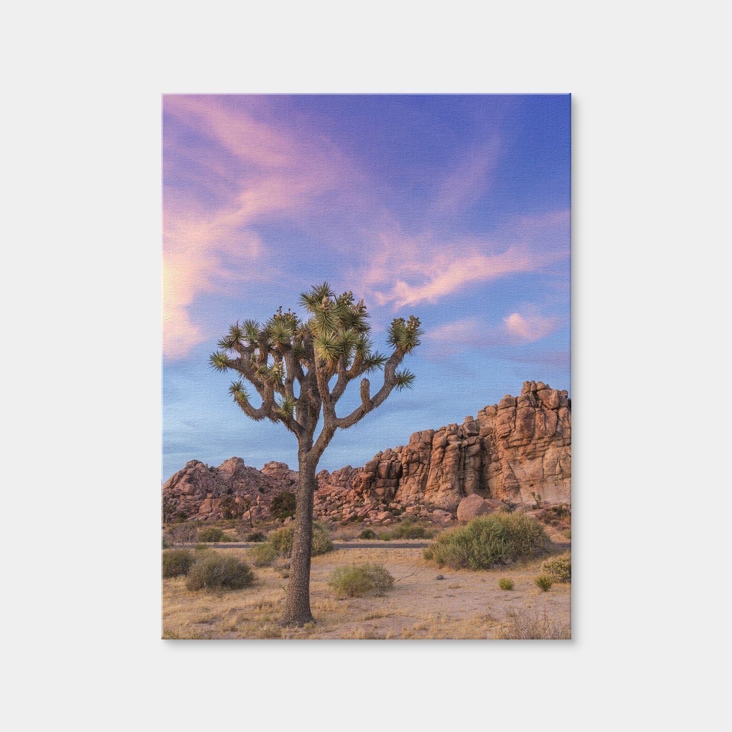 AUTO-MOCKUP WHITE | Joshua Tree Evening Atmosphere | 1 Piece | Gallery Wrap Canvas | group=3x4