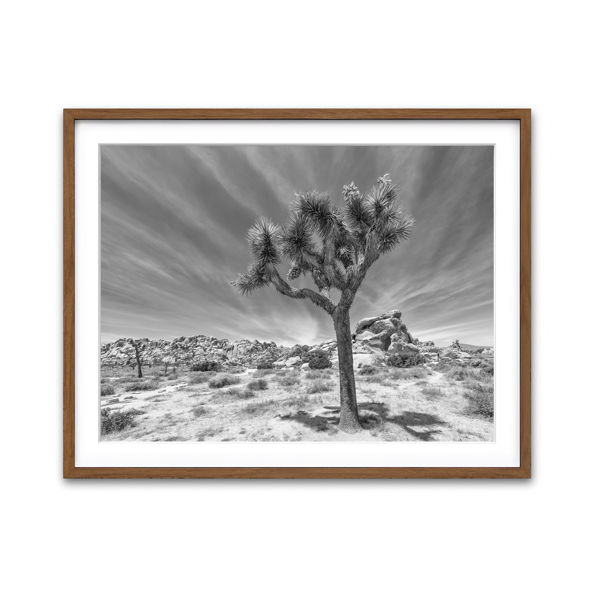 Framed Print 4x3 Walnut