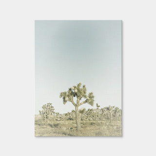AUTO-MOCKUP WHITE | Joshua Tree National Park Sepia | 1 Piece | Gallery Wrap Canvas | group=3x4