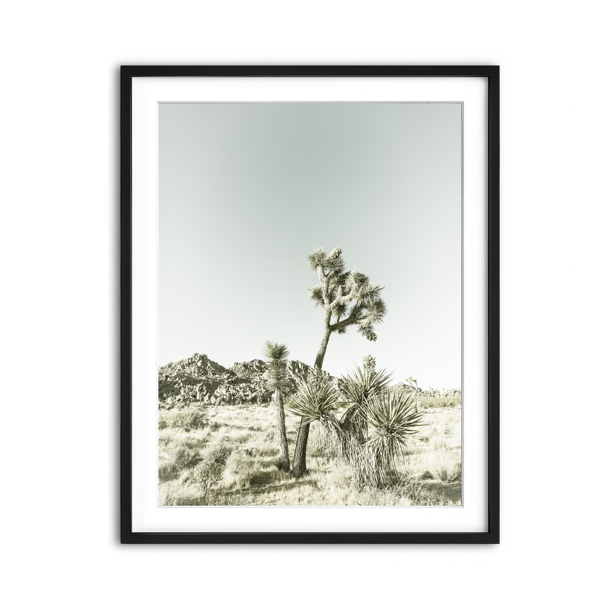 Joshua Tree National Park Vintage Wall Art